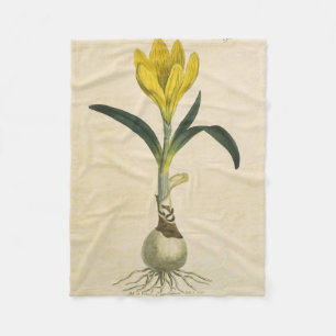 Amaryllis Tulp Botanische Tuin Bloem Fleece Deken