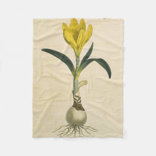 Amaryllis Tulp Botanische Tuin Bloem Fleece Deken (Voorkant)