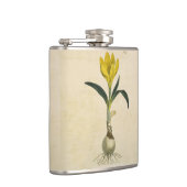 Amaryllis Tulp Botanische Tuin Bloem Heupfles (Rechts)