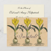 Amaryllis Tulp Botanische Tuin Bloem Kaart (Voorkant / Achterkant)