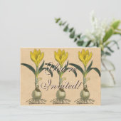 Amaryllis Tulp Botanische Tuin Bloem Kaart (Staand voorkant)