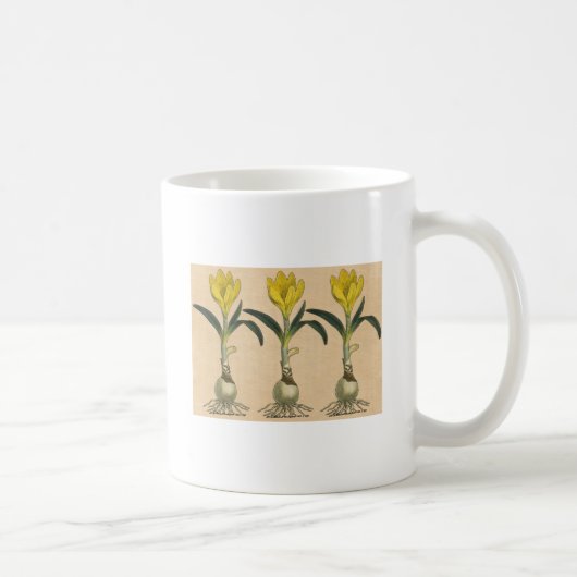 Amaryllis Tulp Botanische Tuin Bloem Koffiemok (Rechts)
