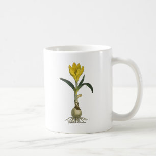 Amaryllis Tulp Botanische Tuin Bloem Koffiemok