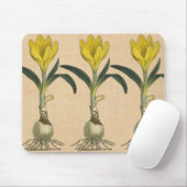 Amaryllis Tulp Botanische Tuin Bloem Muismat (Met muis)