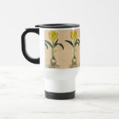 Amaryllis Tulp Botanische Tuin Bloem Reisbeker (Links)
