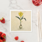 Amaryllis Tulp Botanische Tuin Bloem Servetten (Insitu)