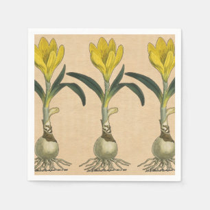 Amaryllis Tulp Botanische Tuin Bloem Servetten