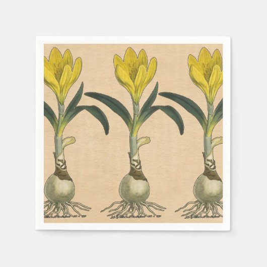Amaryllis Tulp Botanische Tuin Bloem Servetten (Voorkant)