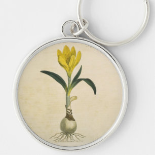 Amaryllis Tulp Botanische Tuin Bloem Sleutelhanger
