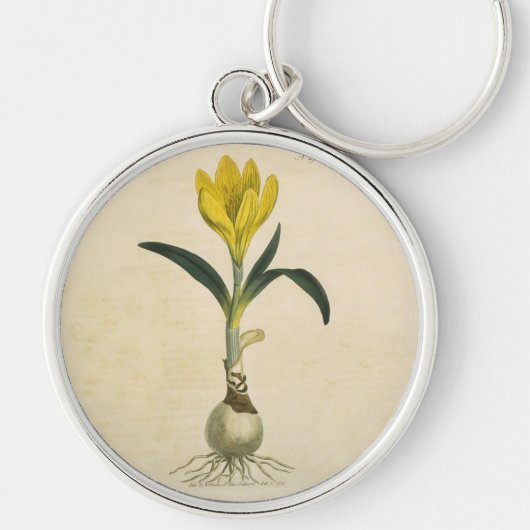 Amaryllis Tulp Botanische Tuin Bloem Sleutelhanger (Voorkant)