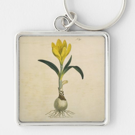 Amaryllis Tulp Botanische Tuin Bloem Sleutelhanger (Voorkant)