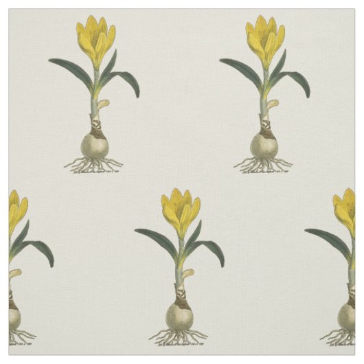 Amaryllis Tulp Botanische Tuin Bloem Stof (Swatch)