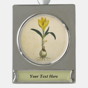 Amaryllis Tulp Botanische Tuin Bloem Verzilverd Banner Ornament