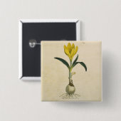 Amaryllis Tulp Botanische Tuin Bloem Vierkante Button 5,1 Cm (Voorkant /achterkant)