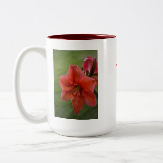 Amaryllis Tweekleurige Koffiemok (Links)