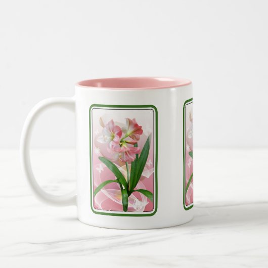 Amaryllis Tweekleurige Koffiemok (Links)