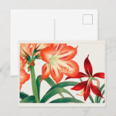 Amaryllis van Tanigami Konan Briefkaart (Voorkant / Achterkant)