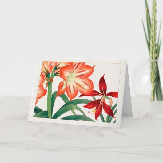 Amaryllis van Tanigami Konan Kaart (Voorkant)