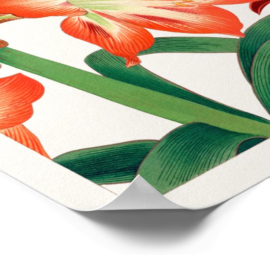 Amaryllis van Tanigami Konan Poster (Hoek)