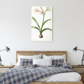 Amaryllis Vittata Canvas Afdruk (Insitu (Slaapkamer))
