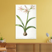 Amaryllis Vittata Canvas Afdruk (Insitu (Woonkamer))