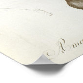 Amaryllis Vittata Poster (Hoek)