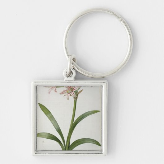 Amaryllis Vittata Sleutelhanger (Voorkant)