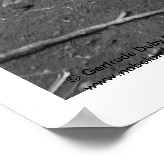 Amatenango del Valle, Chiapas, Mexico Poster (Hoek)