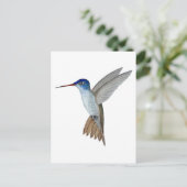 Amazilia met paarse kroon briefkaart (Staand voorkant)