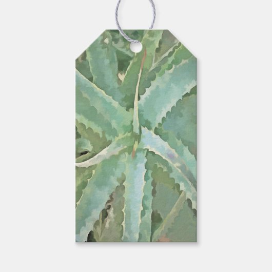 Amazing Aloe Vera AcrylArt Cadeaulabel (Voorkant)