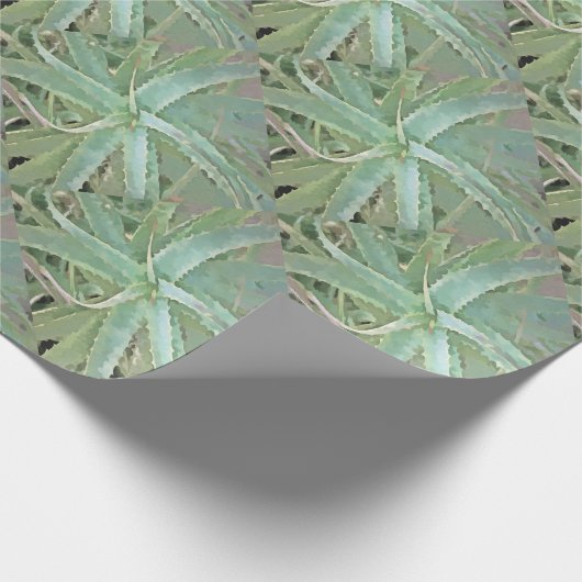 Amazing Aloe Vera AcrylArt Cadeaupapier (Hoek)