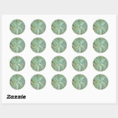 Amazing Aloe Vera AcrylArt Ronde Sticker (Vel)