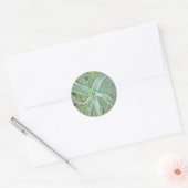 Amazing Aloe Vera AcrylArt Ronde Sticker (Envelop)