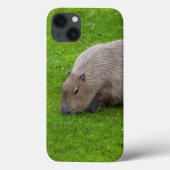 Amazing Animal Capybara Case-Mate iPhone Case (Achterkant)