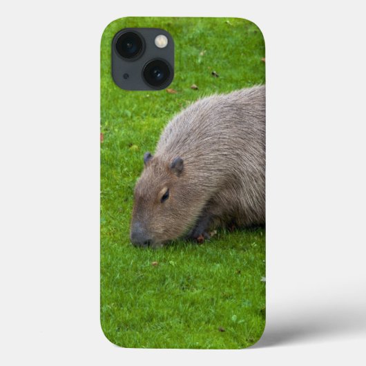 Amazing Animal Capybara Case-Mate iPhone Case (Achterkant)
