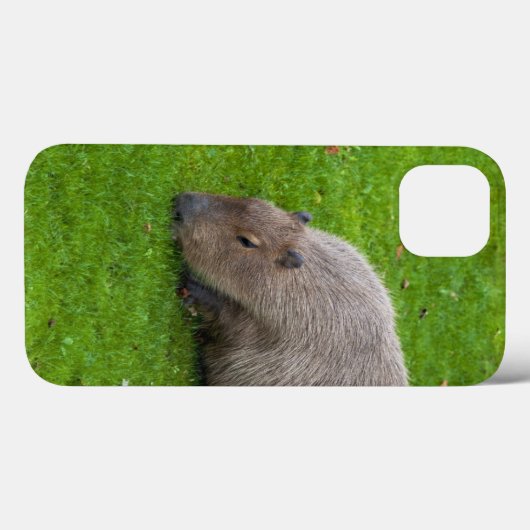 Amazing Animal Capybara Case-Mate iPhone Case (Achterkant (horizontaal))