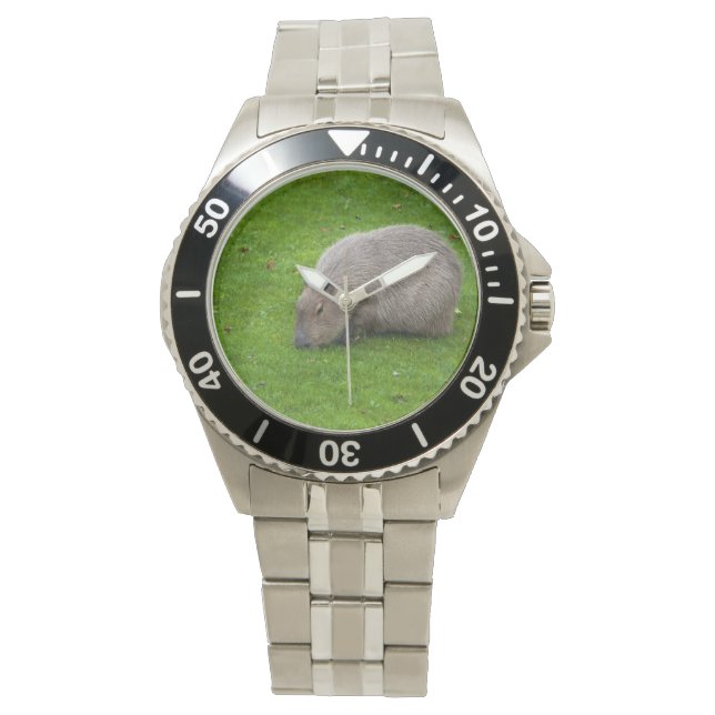 Amazing Animal Capybara Horloge (Voorkant)