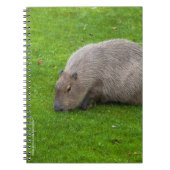 Amazing Animal Capybara Notitieboek (Voorkant)