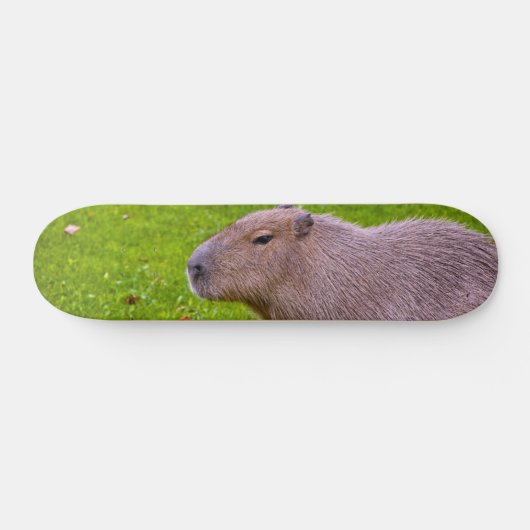 Amazing Animal Capybara Persoonlijk Skateboard (Horizontaal)