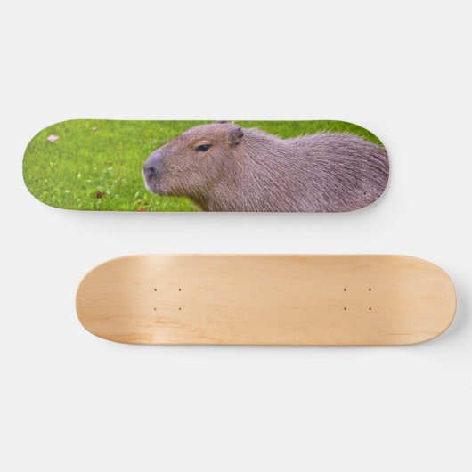 Amazing Animal Capybara Persoonlijk Skateboard (Horizontaal)