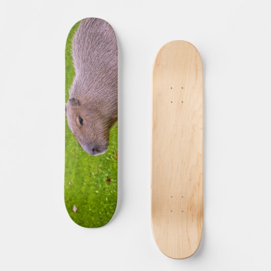 Amazing Animal Capybara Persoonlijk Skateboard (Voorkant)