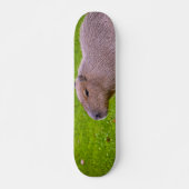 Amazing Animal Capybara Persoonlijk Skateboard (Voorkant)
