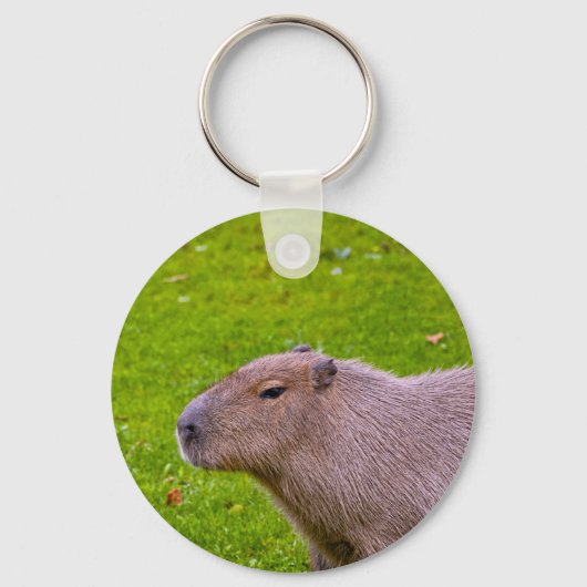 Amazing Animal Capybara Sleutelhanger (Voorkant)