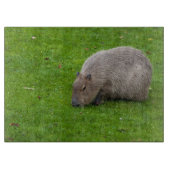 Amazing Animal Capybara Snijplank (Voorkant)