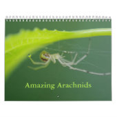 Amazing Arachnids Spider Calendar Kalender (Hoes)