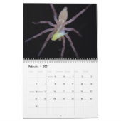 Amazing Arachnids Spider Calendar Kalender (Feb 2027)
