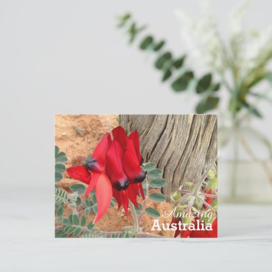 Amazing Australia briefkaart (Staand voorkant)