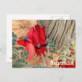 Amazing Australia briefkaart (Voorkant / Achterkant)