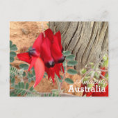 Amazing Australia briefkaart (Voorkant)