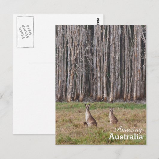 Amazing Australia briefkaart (Voorkant / Achterkant)